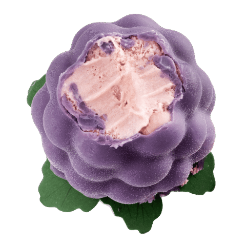 Frozen Miracles - Viral Fruit Ice Creams in Australia Fun, Fruit